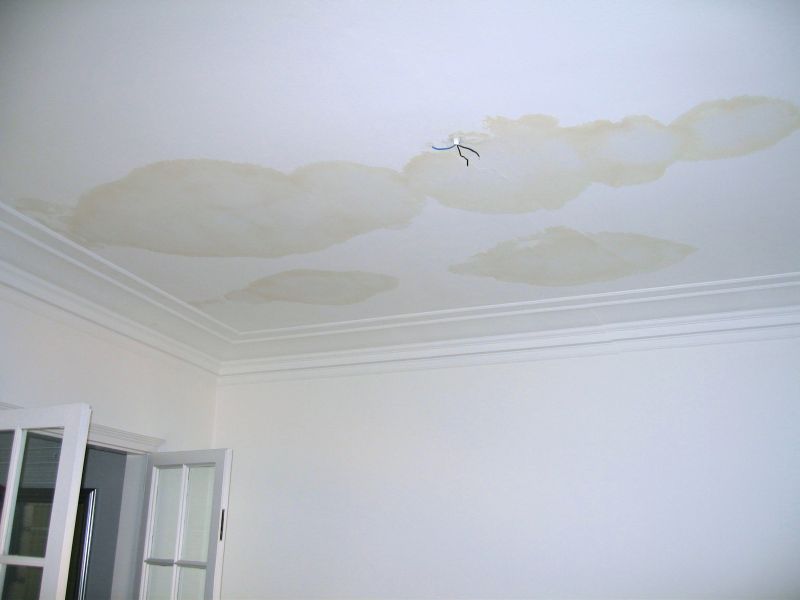 Stipple Ceiling Repair detail